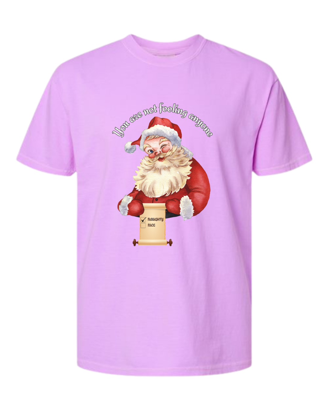 You Are Not Fooling Anyone - Comfort Colors - Heavyweight Unisex Tee - Pinks, Purples