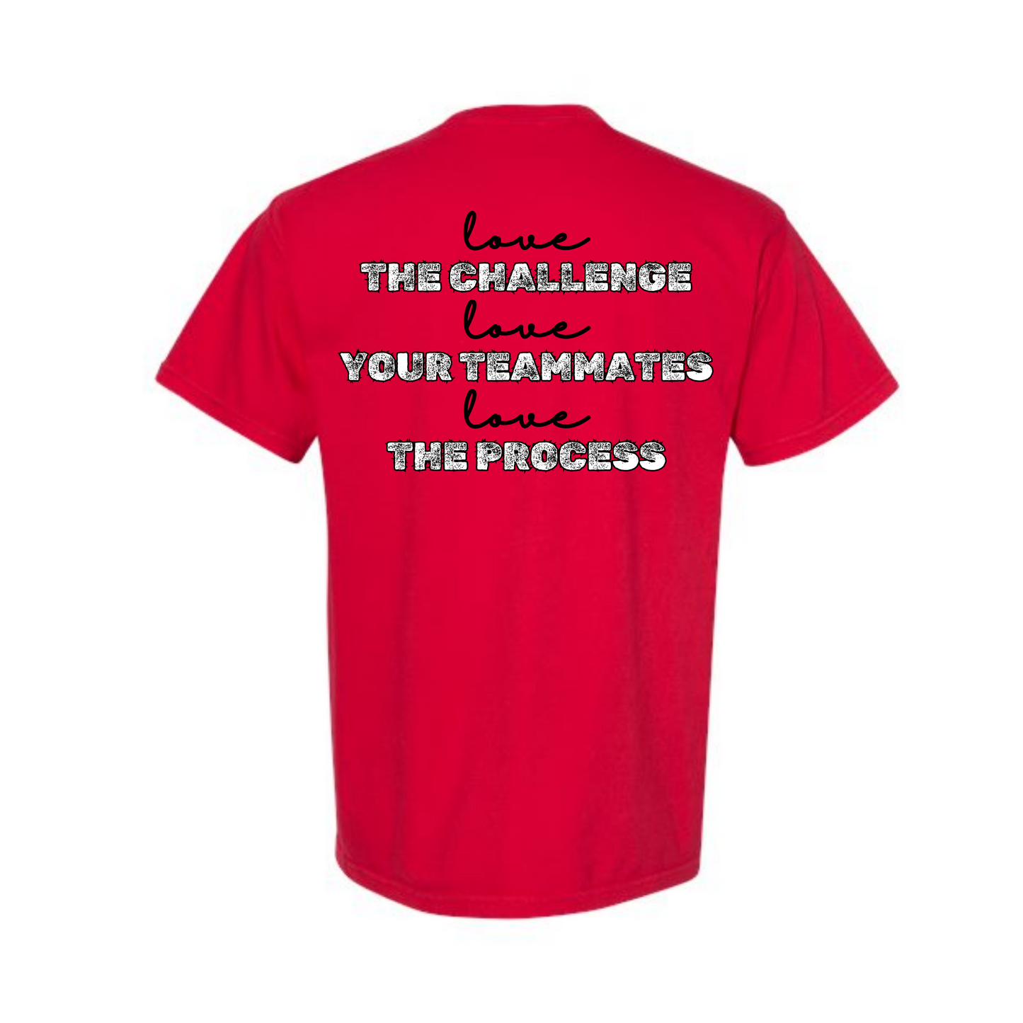 AFHS FUNDRAISER - Comfort Colors - Heavyweight Unisex Tee - AFHS Colors