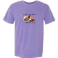You Sleep I Watch - Comfort Colors - Heavyweight Unisex Tee - Pinks, Purples
