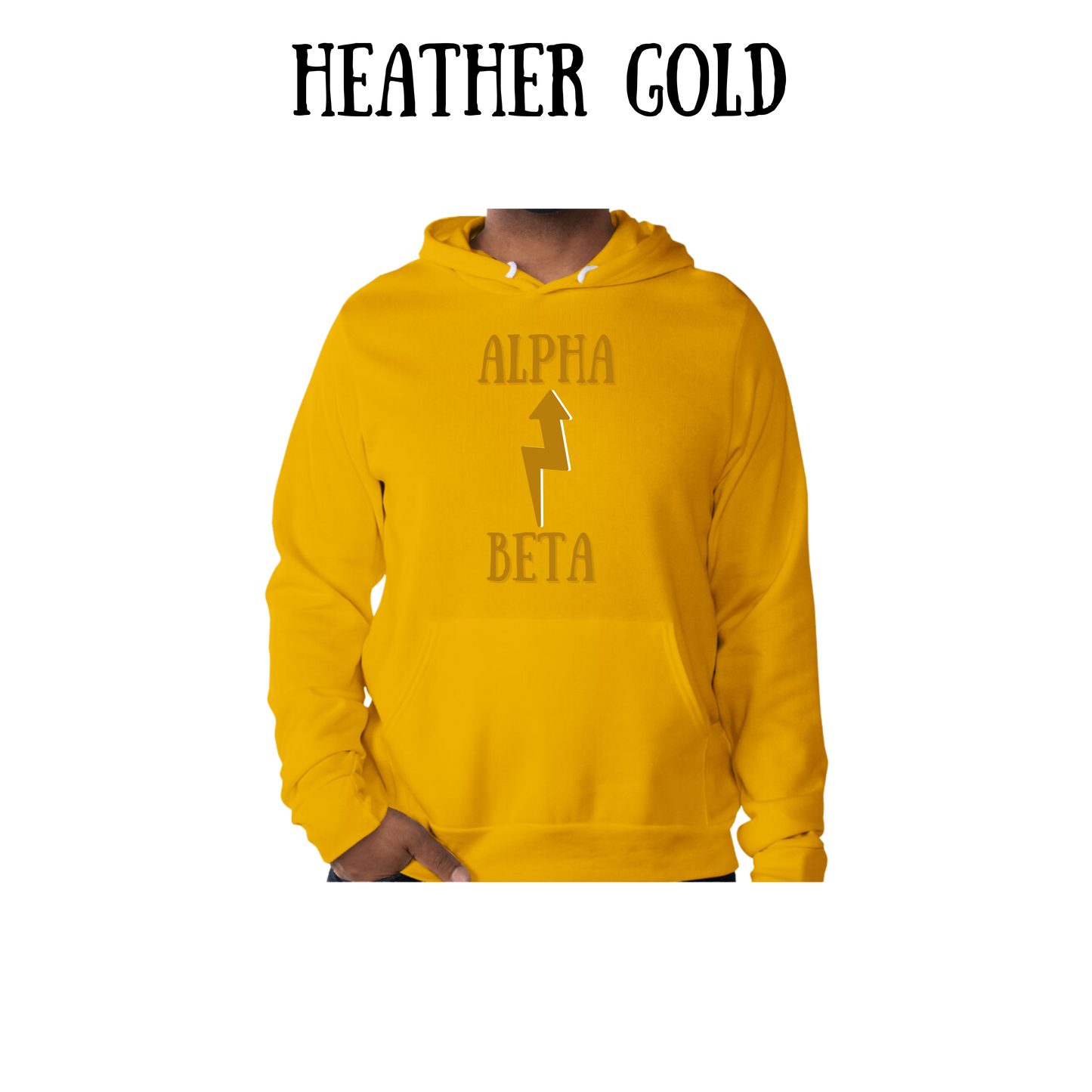 Beta to Alpha - Sponge Fleece Hoodie - Assorted Colors