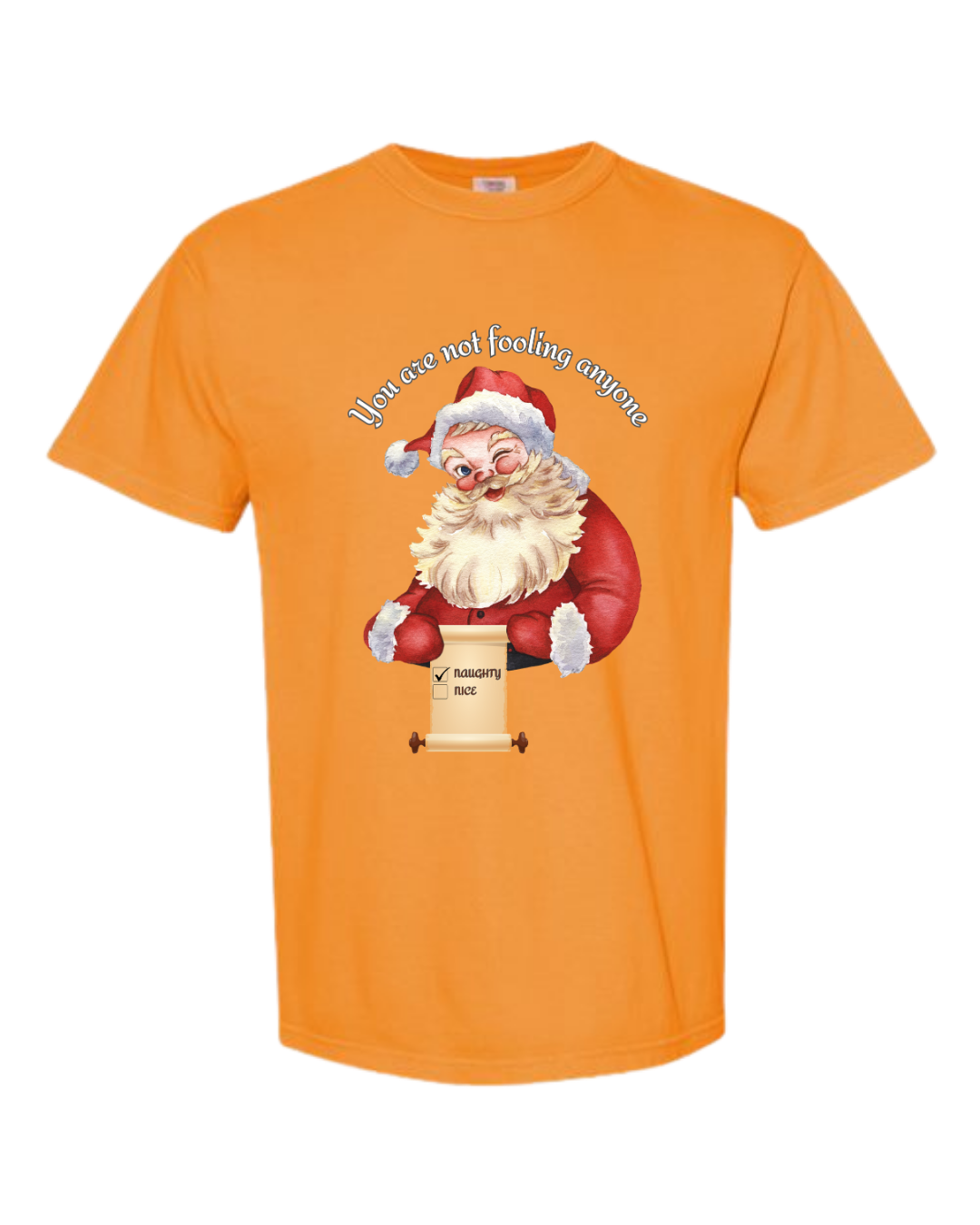 You Are Not Fooling Anyone - Comfort Colors - Heavyweight Unisex Tee - Yellows, Oranges