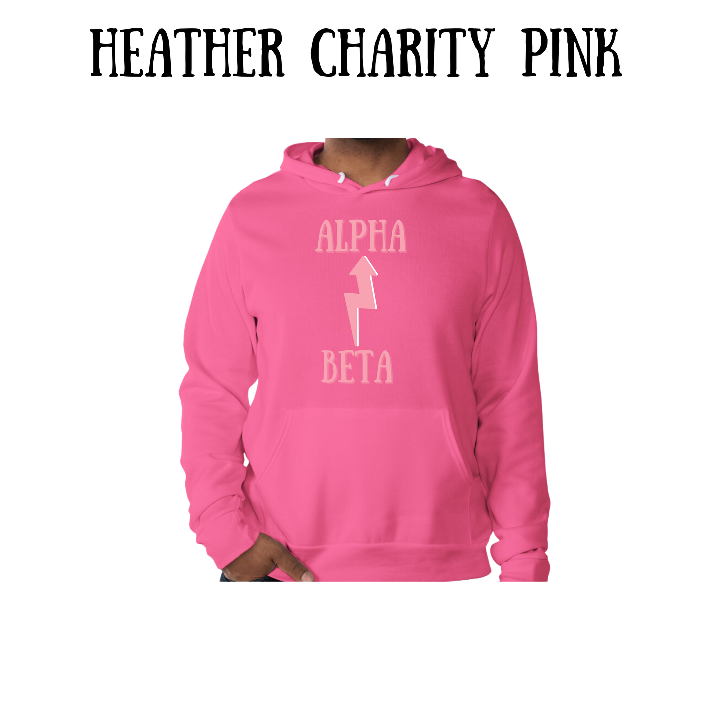 Beta to Alpha - Sponge Fleece Hoodie - Assorted Colors