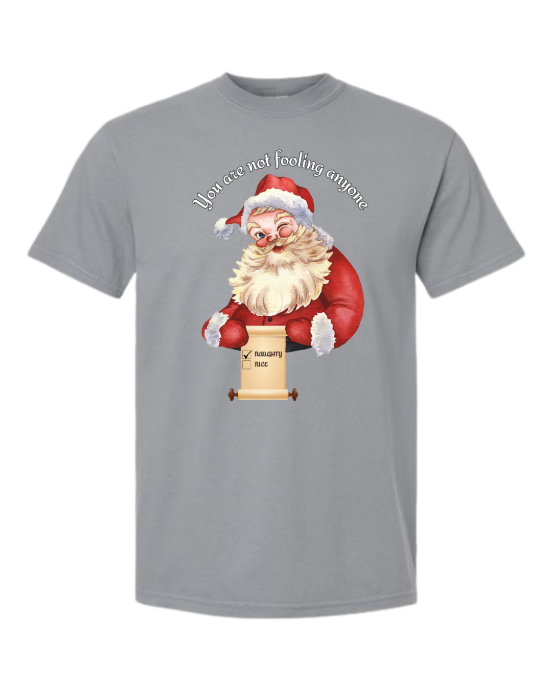 You Are Not Fooling Anyone - Comfort Colors - Heavyweight Unisex Tee - Neutrals