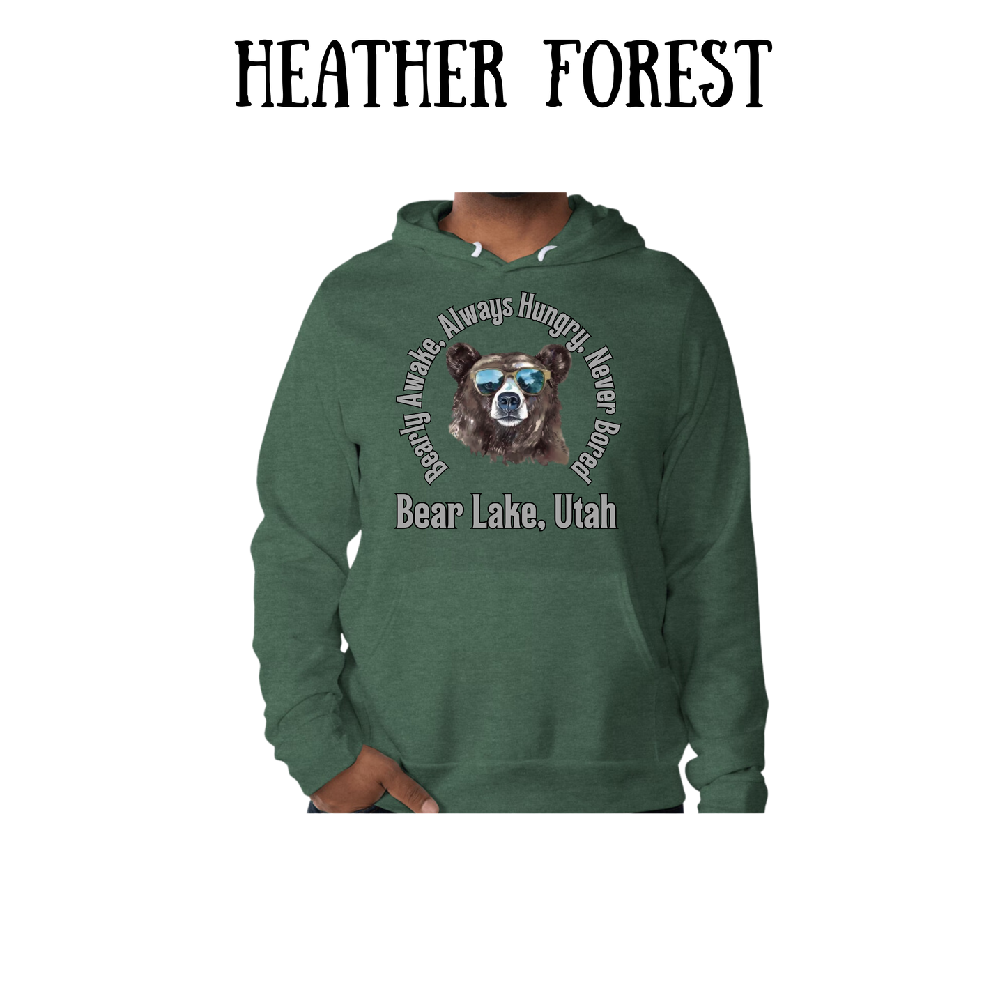 CP - Bear Lake Utah - Sponge Fleece Hoodie - Greens, Neutrals