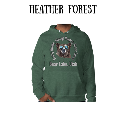 CP - Bear Lake Utah - Sponge Fleece Hoodie - Greens, Neutrals