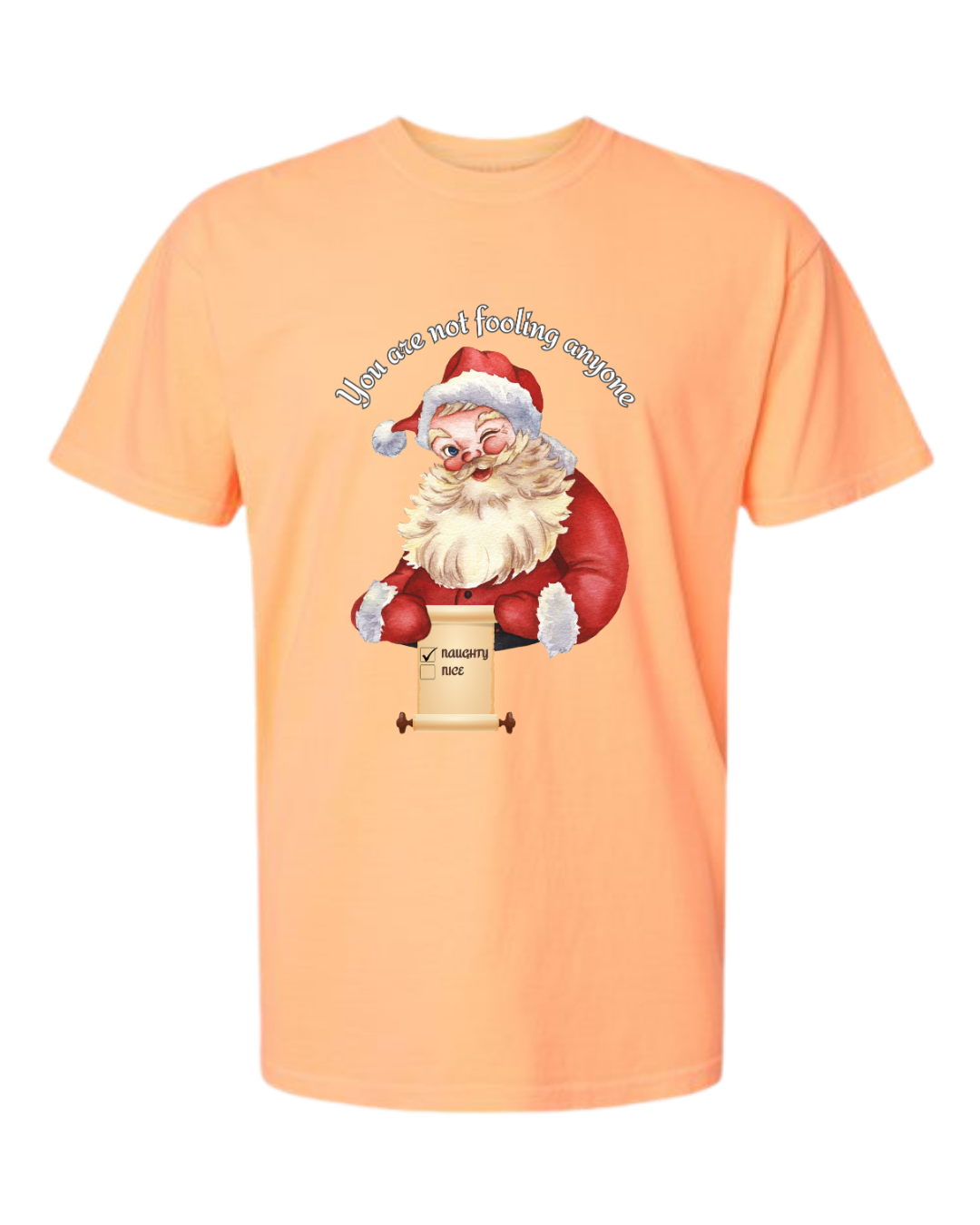 You Are Not Fooling Anyone - Comfort Colors - Heavyweight Unisex Tee - Yellows, Oranges