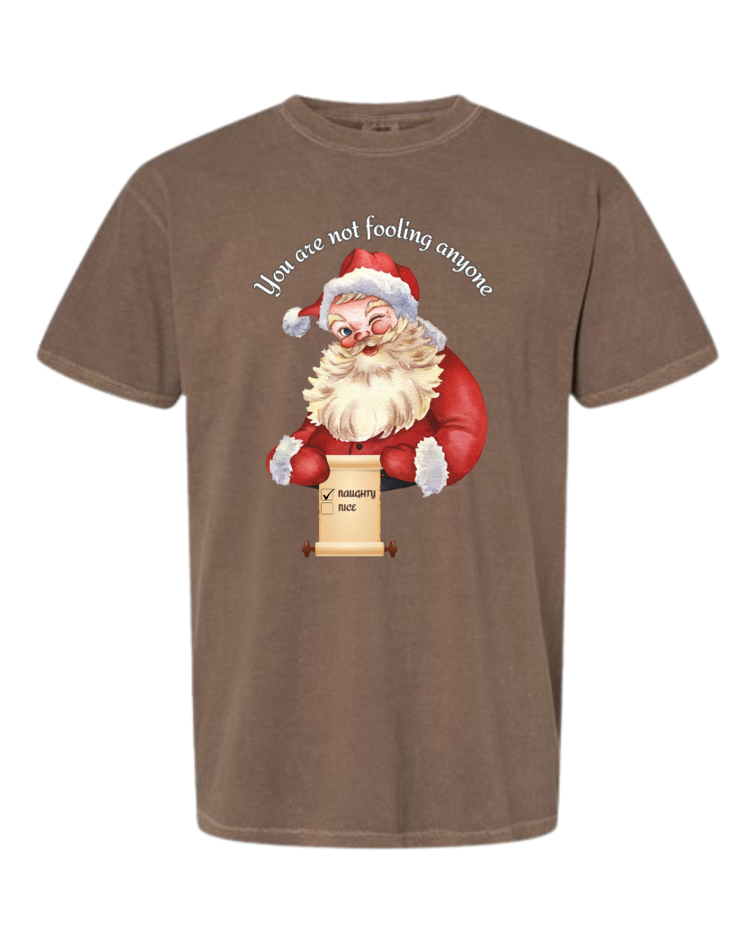 You Are Not Fooling Anyone - Comfort Colors - Heavyweight Unisex Tee - Neutrals