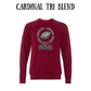 AFHS - Sponge Fleece Raglan Sweatshirt - Assorted Colors