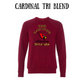 CUHS celebrating - Sponge Fleece Raglan Sweatshirt - Assorted Colors