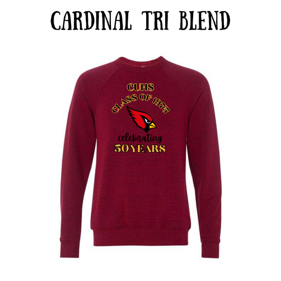 CUHS celebrating - Sponge Fleece Raglan Sweatshirt - Assorted Colors