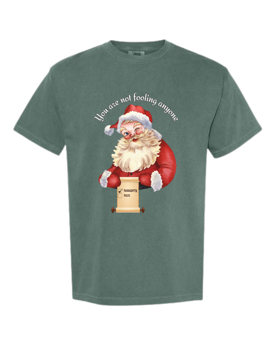 You Are Not Fooling Anyone - Comfort Colors - Heavyweight Unisex Tee - Greens