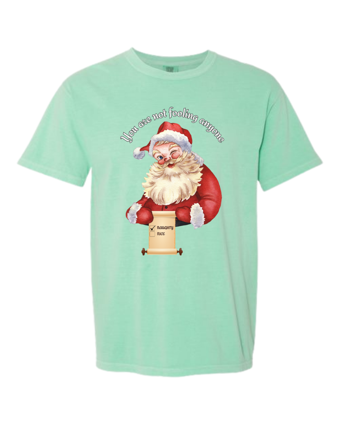 You Are Not Fooling Anyone - Comfort Colors - Heavyweight Unisex Tee - Greens