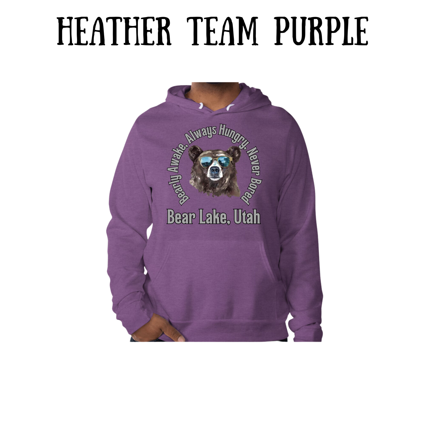 CP - Bear Lake Utah - Sponge Fleece Hoodie - Blues, Purples