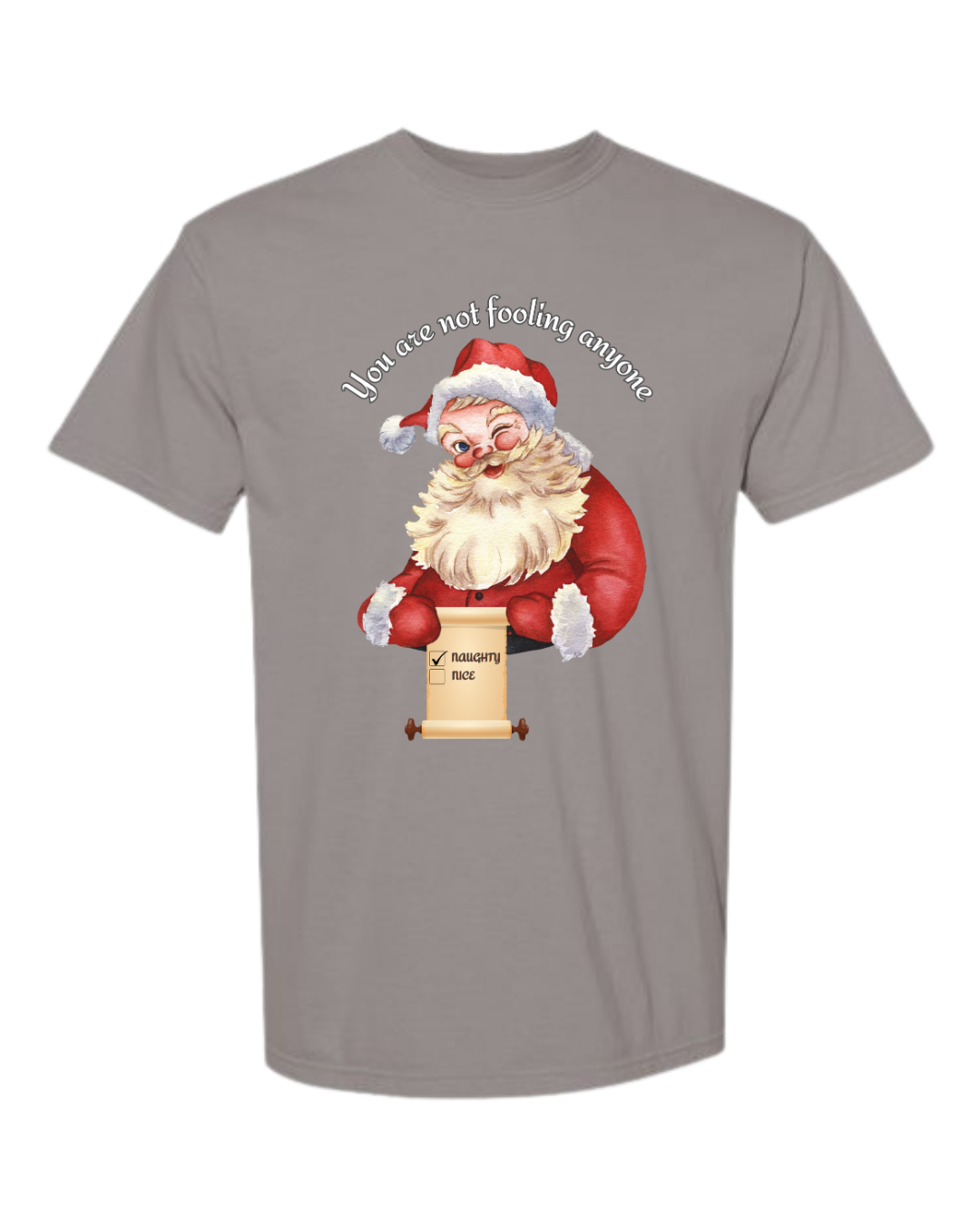 You Are Not Fooling Anyone - Comfort Colors - Heavyweight Unisex Tee - Neutrals