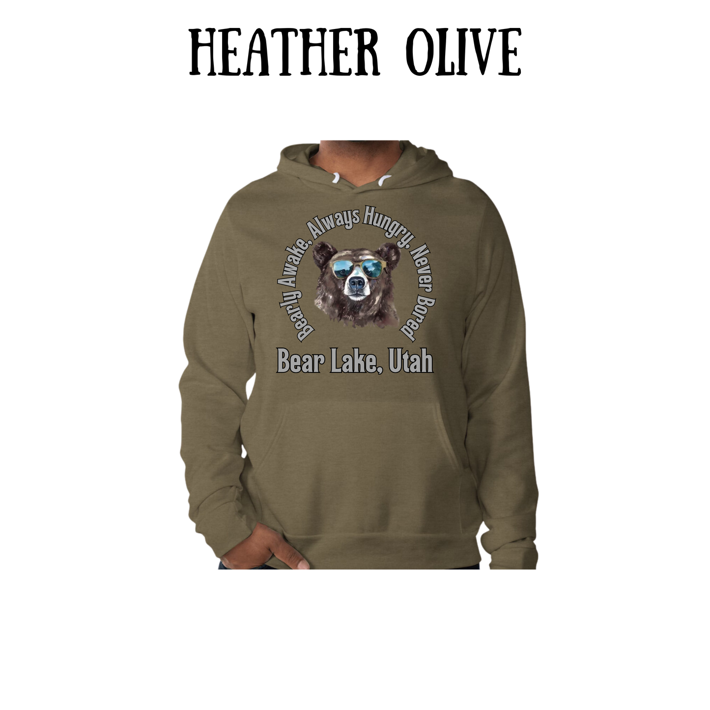 CP - Bear Lake Utah - Sponge Fleece Hoodie - Greens, Neutrals