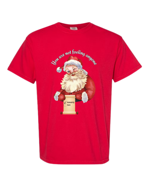 You Are Not Fooling Anyone - Comfort Colors - Heavyweight Unisex Tee - Reds