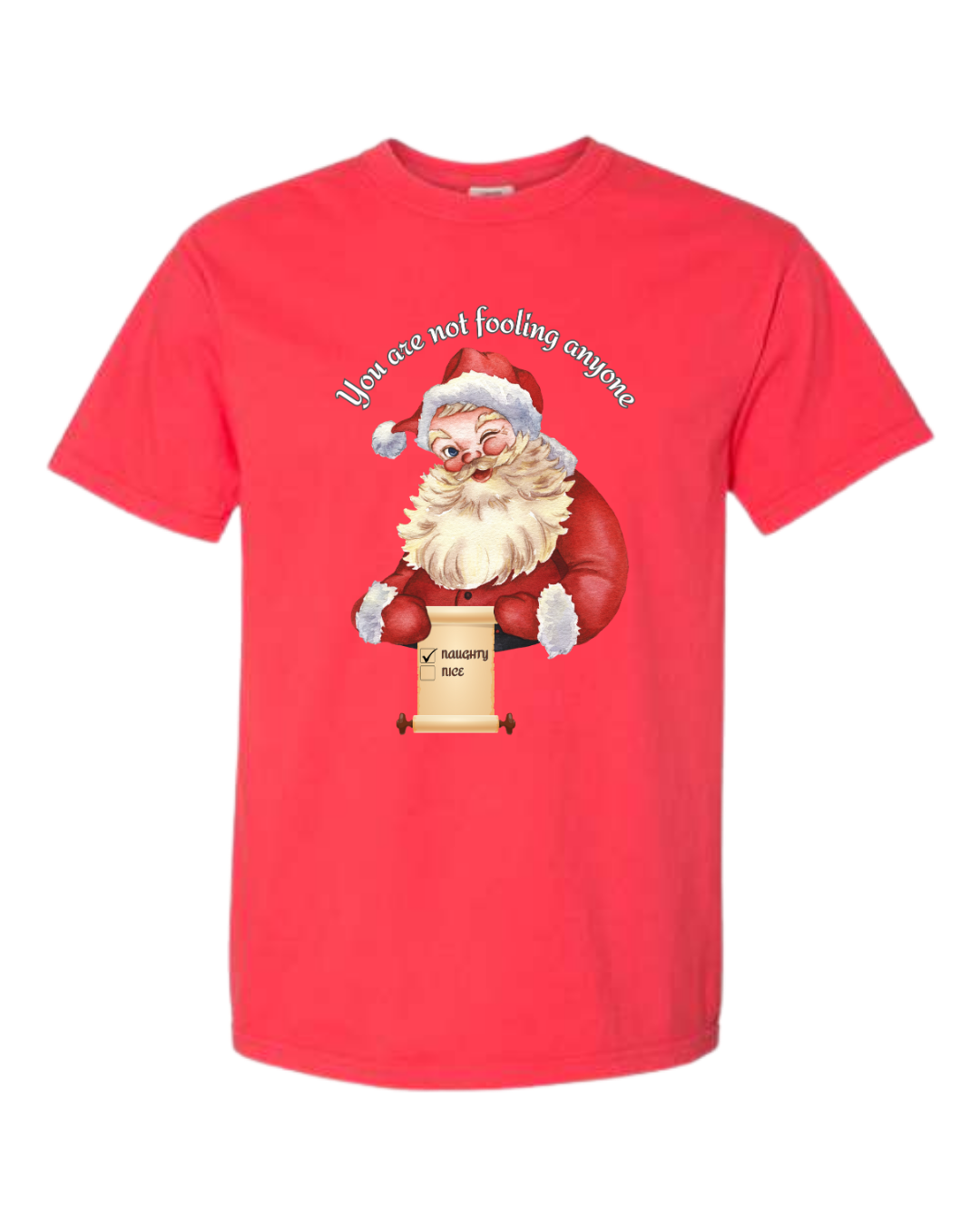 You Are Not Fooling Anyone - Comfort Colors - Heavyweight Unisex Tee - Reds