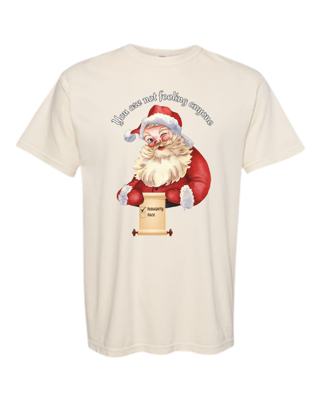 You Are Not Fooling Anyone - Comfort Colors - Heavyweight Unisex Tee - Neutrals