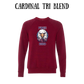 PP - Free Bird - Sponge Fleece Raglan Sweatshirt - Assorted Colors