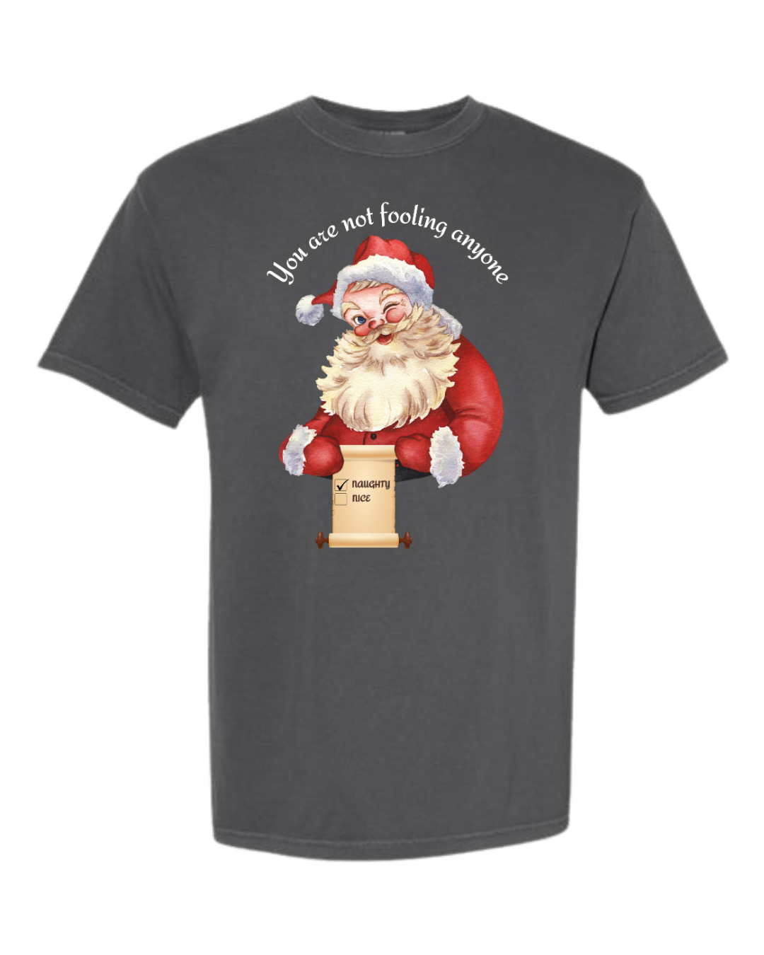 You Are Not Fooling Anyone - Comfort Colors - Heavyweight Unisex Tee - Neutrals