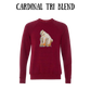 AC - Muscle Bear - Sponge Fleece Raglan Sweatshirt - Assorted Colors