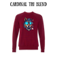 BP - Alpha - Sponge Fleece Raglan Sweatshirt - Assorted Colors