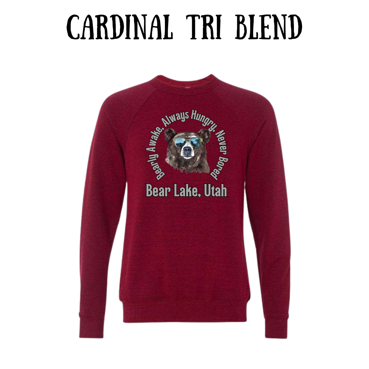 CP - Bear Lake Utah - Sponge Fleece Raglan Sweatshirt - Assorted Colors
