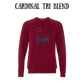 CP - Chill Zone - Sponge Fleece Raglan Sweatshirt - Assorted Colors