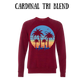 VP - A Hui Hou - Sponge Fleece Raglan Sweatshirt - Assorted Colors