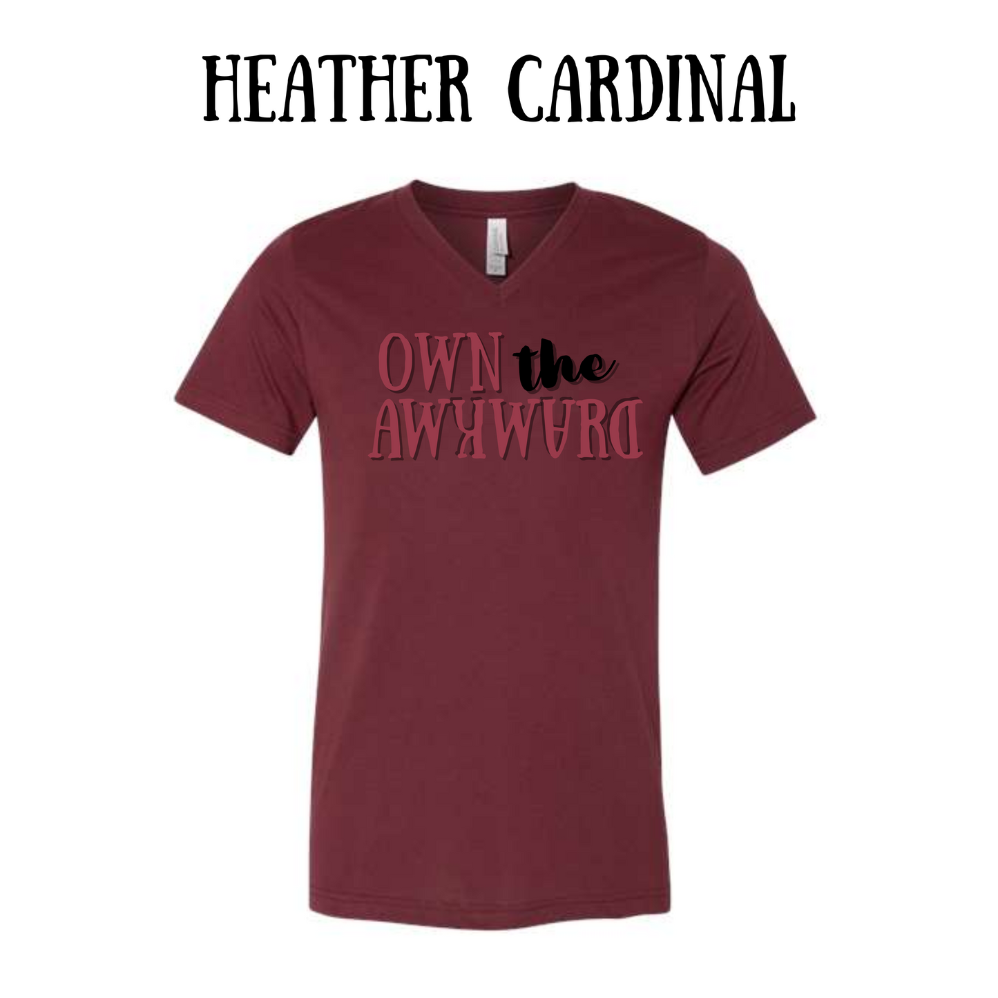 own the awkward - unisex v-neck - assorted colors
