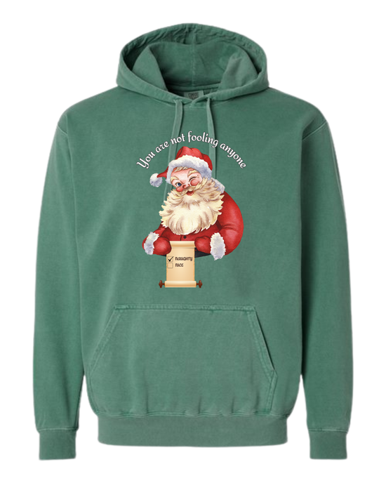 You Are Not Fooling Anyone - Comfort Colors - Hooded Sweatshirt - Assorted Colors