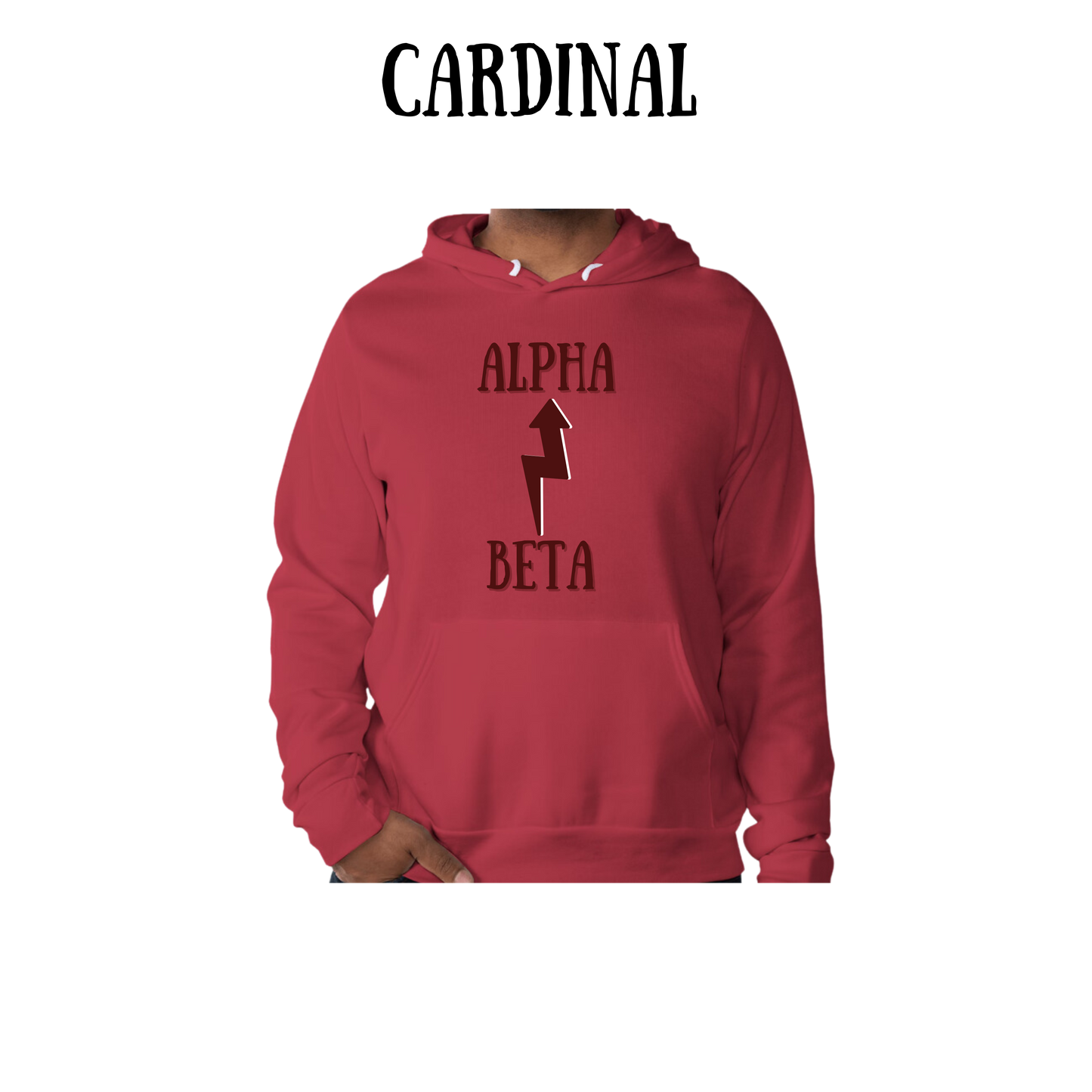 Beta to Alpha - Sponge Fleece Hoodie - Assorted Colors