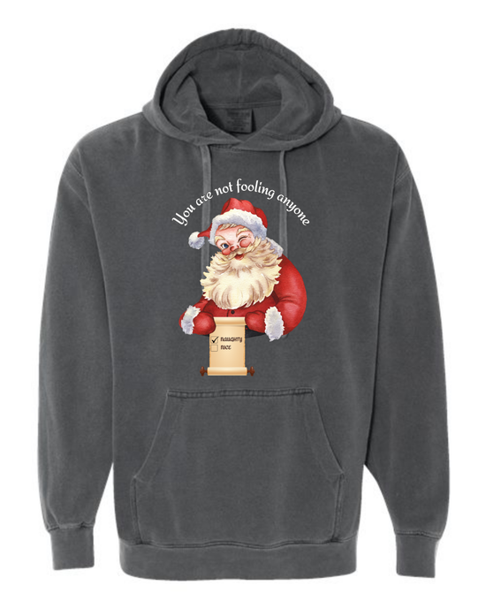 You Are Not Fooling Anyone - Comfort Colors - Hooded Sweatshirt - Assorted Colors