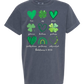 Galatians 5 - St Patrick's Day - Comfort Colors - Heavyweight Youth Tee - Neutral Colors & Blues