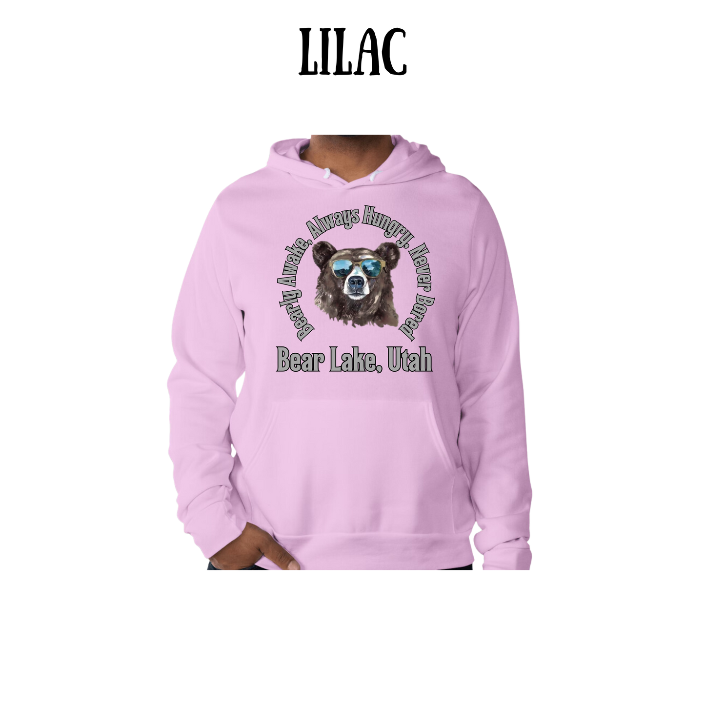 CP - Bear Lake Utah - Sponge Fleece Hoodie - Blues, Purples