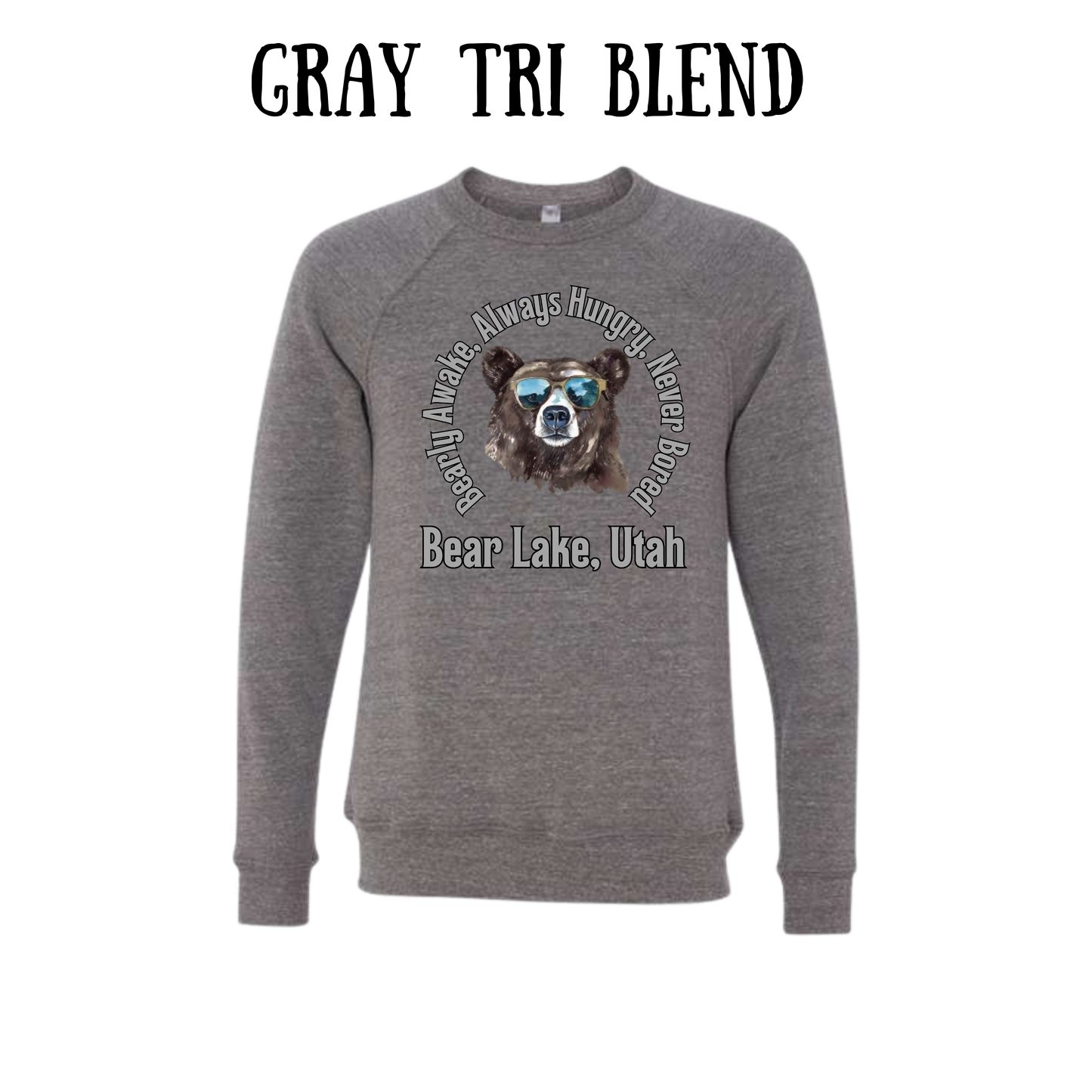 CP - Bear Lake Utah - Sponge Fleece Raglan Sweatshirt - Greens, Neutrals